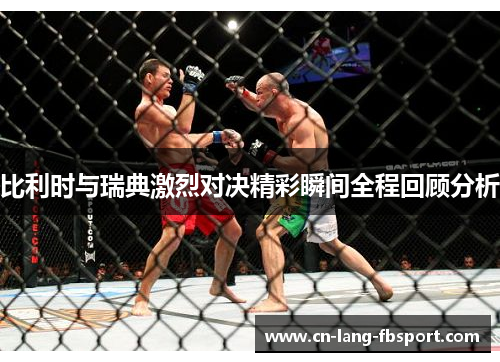 比利时与瑞典激烈对决精彩瞬间全程回顾分析