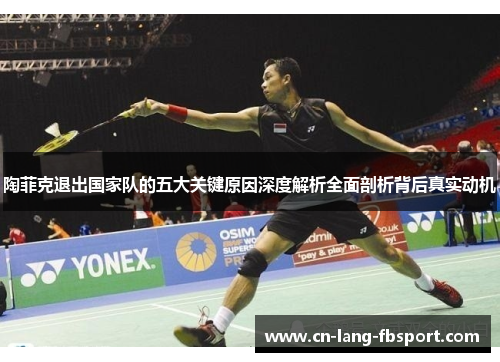 陶菲克退出国家队的五大关键原因深度解析全面剖析背后真实动机 陶菲克退出国家队的五大关键原因深度解析全面剖析背后真实动机