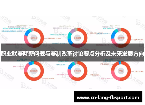 职业联赛降薪问题与赛制改革讨论要点分析及未来发展方向