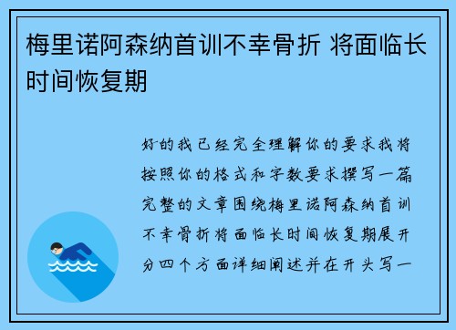 梅里诺阿森纳首训不幸骨折 将面临长时间恢复期